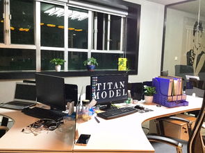 深圳展会展览礼仪模特经纪公司 专业化、一体化的商务服务新趋势