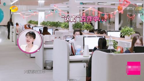 明星工作室对比 王鸥简朴内景与宋茜豪华气派的鲜明反差